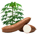 Other agricultural products